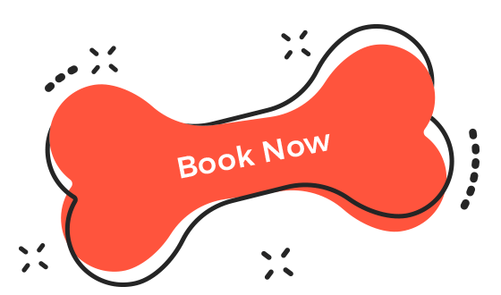 https://taaibhaidogboardingandkennel.com/wp-content/uploads/2019/08/book_now.png