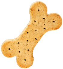 https://taaibhaidogboardingandkennel.com/wp-content/uploads/2019/08/cookie.png
