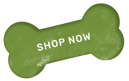 https://taaibhaidogboardingandkennel.com/wp-content/uploads/2019/08/shop_now_01.png