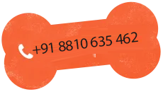 https://taaibhaidogboardingandkennel.com/wp-content/uploads/2024/08/text_02_phone.png